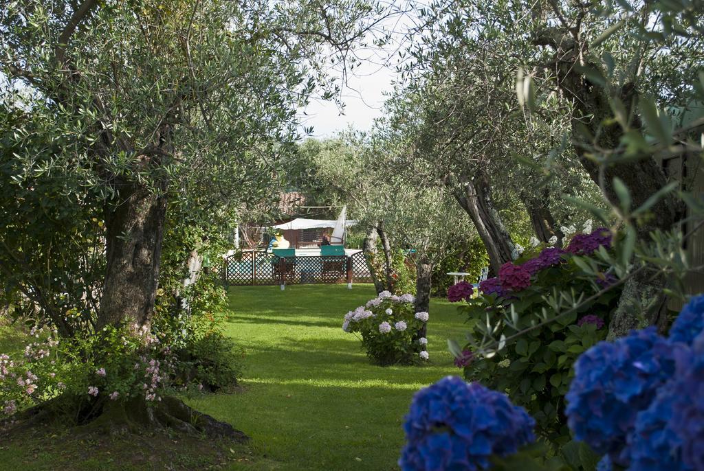 Azienda Agricola Della Mezzaluna Stiava Zewnętrze zdjęcie