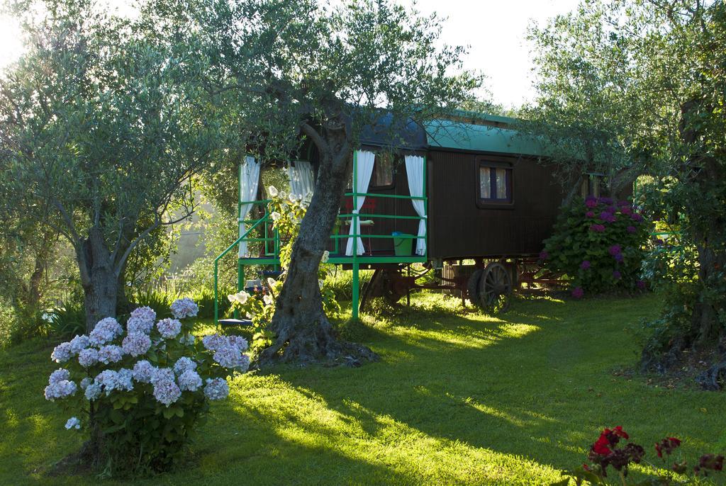 Azienda Agricola Della Mezzaluna Stiava Zewnętrze zdjęcie